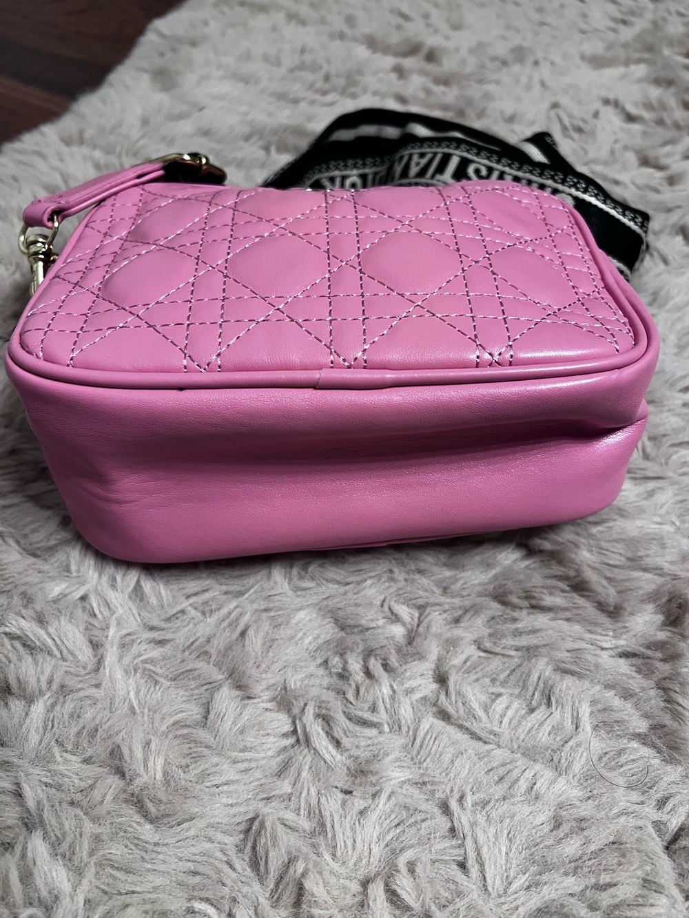 Dior Pink Quilted Leather Camera Bag from the beauty line with Signature Strap - Picture 4 of 11